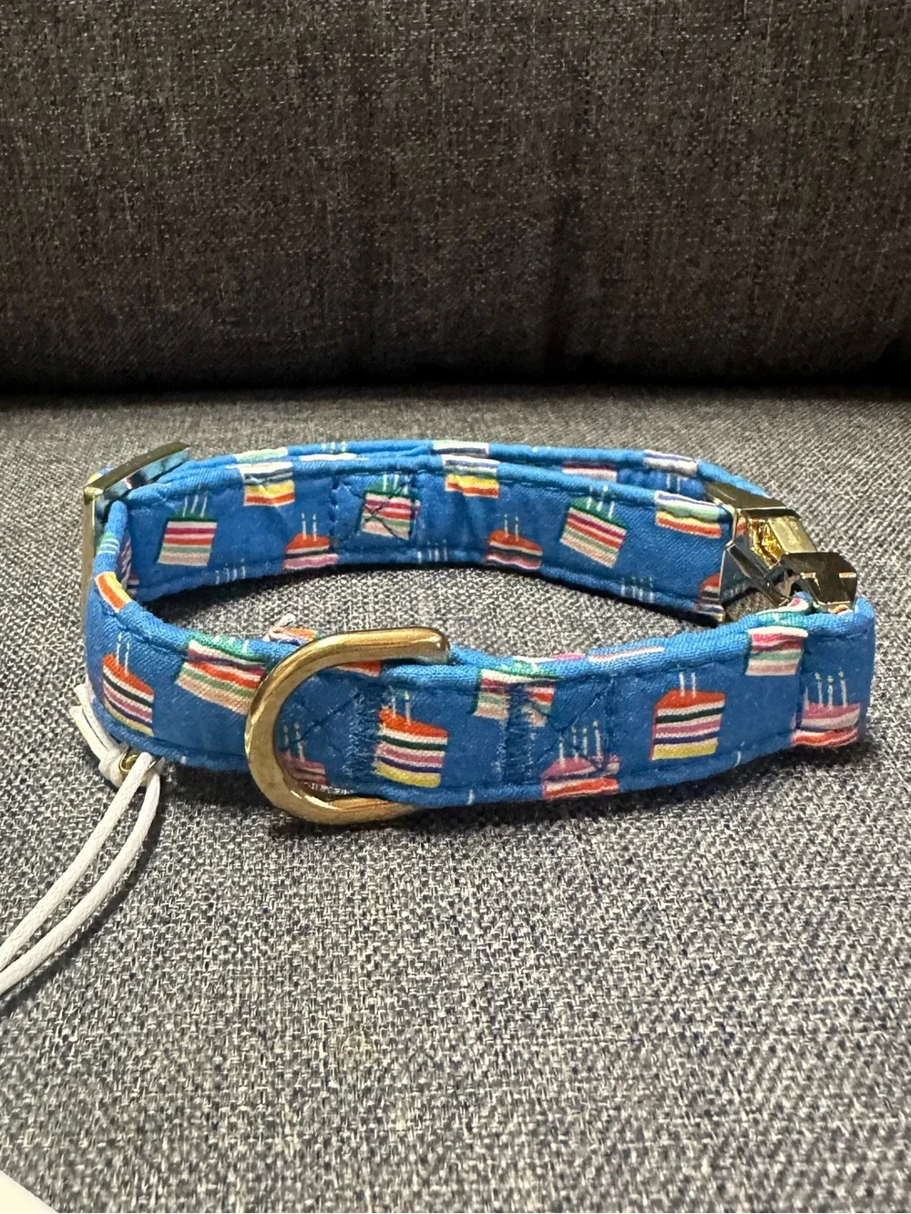 The Foggy Dog Make A Wish Birthday Dog Collar